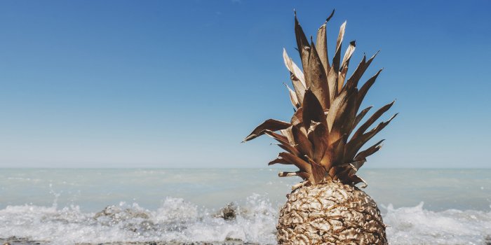 3840x2598 pineapple on a pebble beach pebble beach pineapple 4k wallpaper and