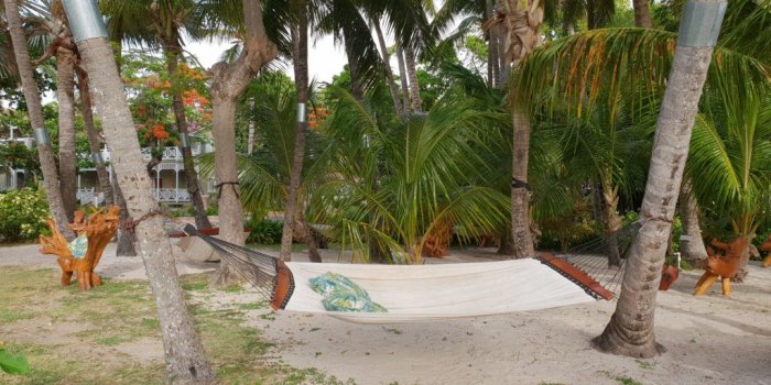 1024x768 PINEAPPLE BEACH CLUB - Travel Grow Do It Solo