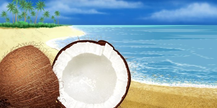 1920x1200 Coconut Wallpapers ·① WallpaperTag