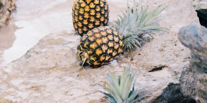 853x1280 Breakfast at Yurman's | iPhone backgrounds in 2018