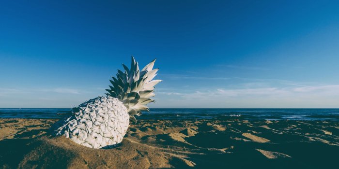 3840x2560 HD wallpaper: beach, beachlife, fruit, horizon, painted, pineapple