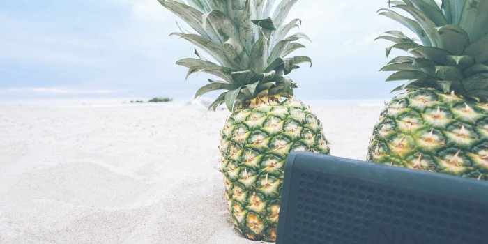 5779x3853 pineapple on beach free image | Peakpx