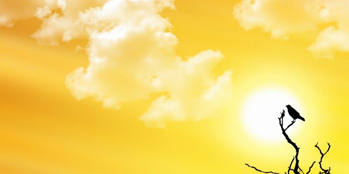 1920x1080 Download These 42 Yellow Wallpapers in High Definition For Free