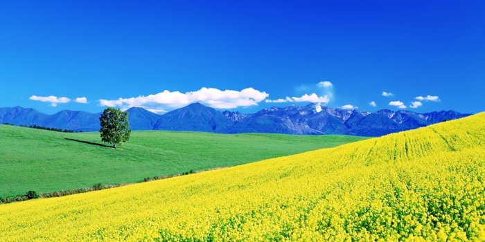 3840x2400 Trees, Hills, Landscapes, Earth, Green, Mountains, Grass, Fields
