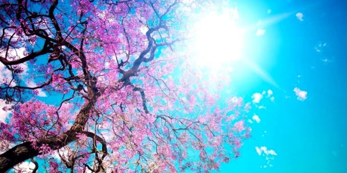 1353x855 Best Computer Wallpaper | Wallpaper Background HD