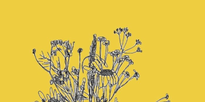 1068x1896 10 Wallpapers Tumblr Yellow - Download Wallpaper HD For PC Computer