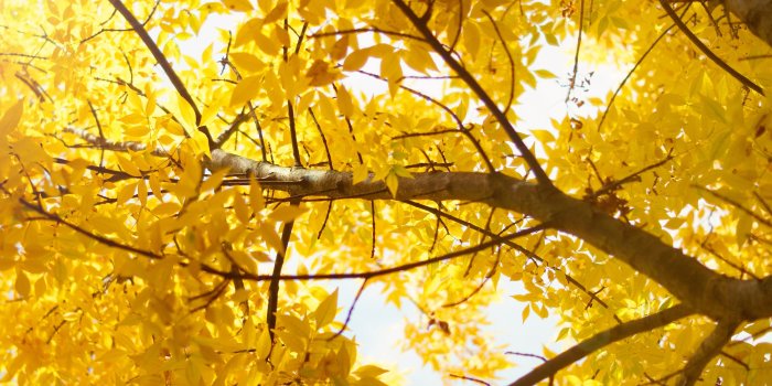 3840x2400 Yellow Aesthetic Desktop Wallpapers - Top Free Yellow Aesthetic