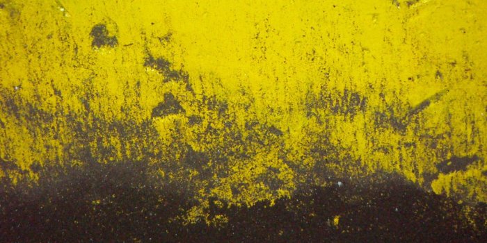 1600x1200 Yellow And Black Wallpapers