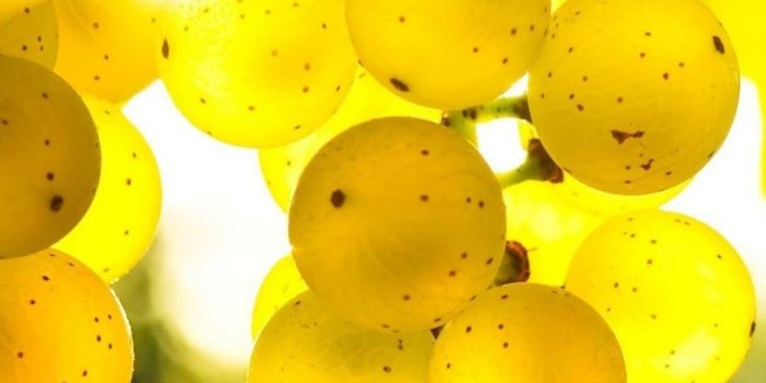 1080x1920 Yellow Colour Wallpaper (58+ pictures)