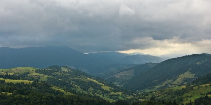 2560x1600 25+ Overcast Forest Wallpapers - Download at WallpaperBro