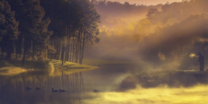 1920x1200 Landscape Nature Monochrome Tree Lake Mist Hill Overcast Water Calm