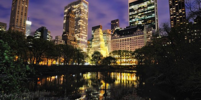 1332x850 Wallpaper trees, clouds, the city, lights, lake, reflection