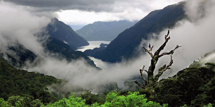 1920x1080 Foggy Ultra HD Landscape Wallpapers - Top Free Foggy Ultra HD