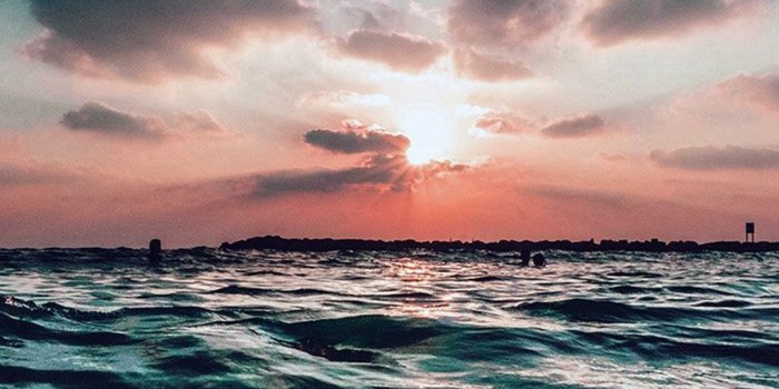 1080x1920 Calm Lake Overcast Dead Trees iPhone 6 Wallpaper Beautiful Sunset