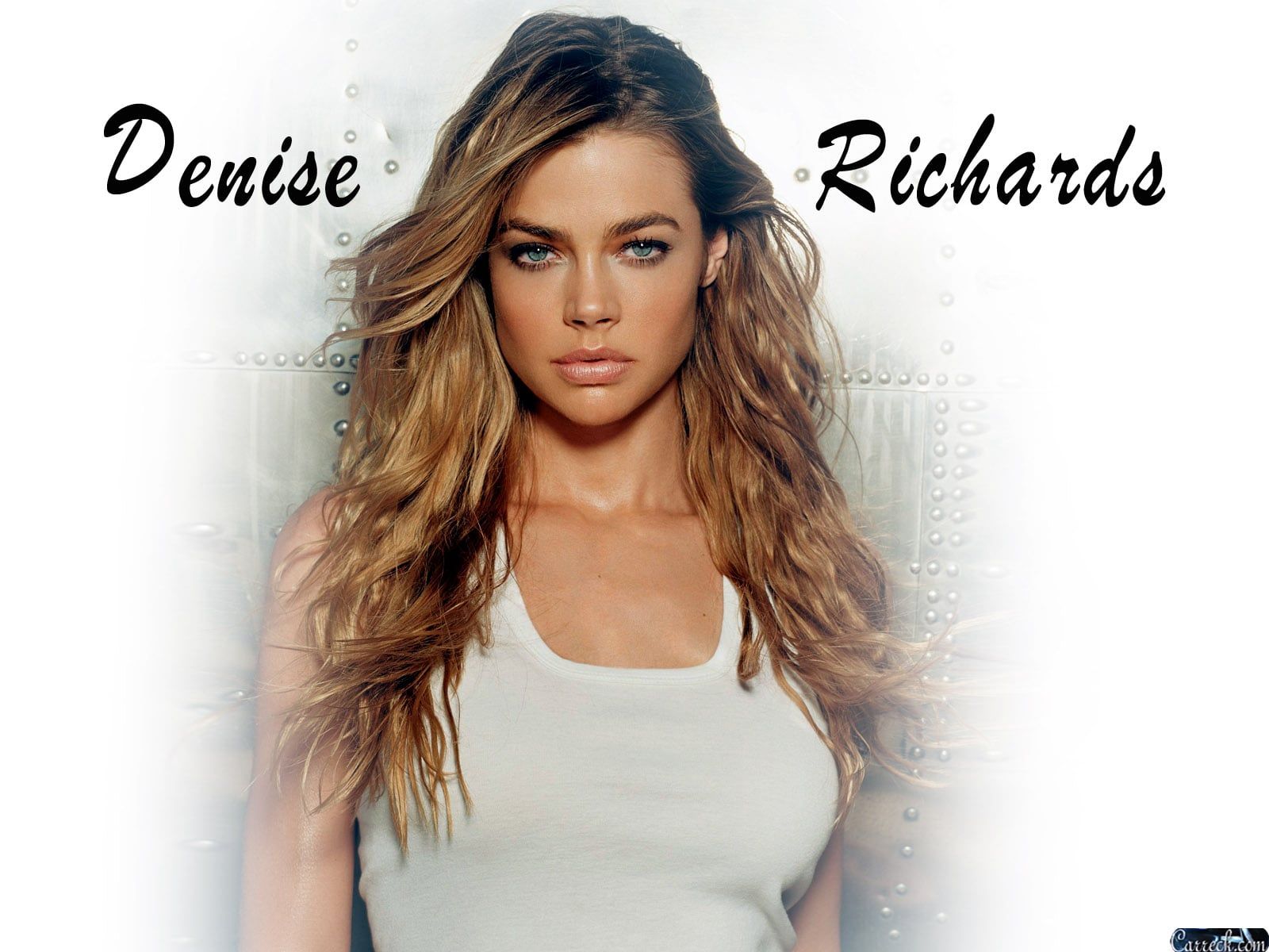 1600x1200 26+ Denise Richards wallpapers HD Download