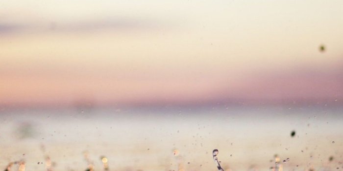 1080x1920 Calm Lake Overcast Dead Trees iPhone 6 Wallpaper Beautiful Rain