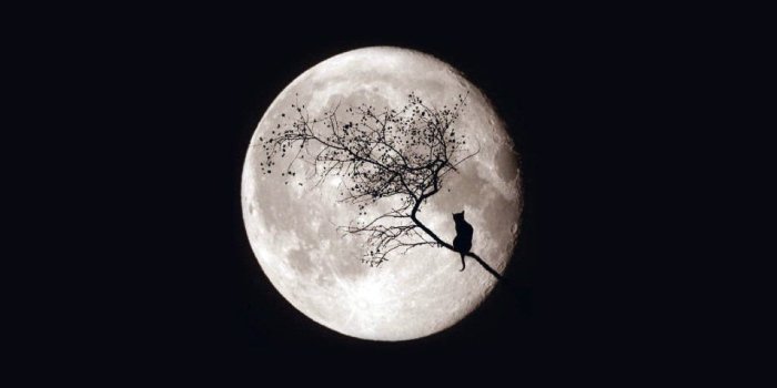 1280x960 323 Moon HD Wallpapers | Background Images