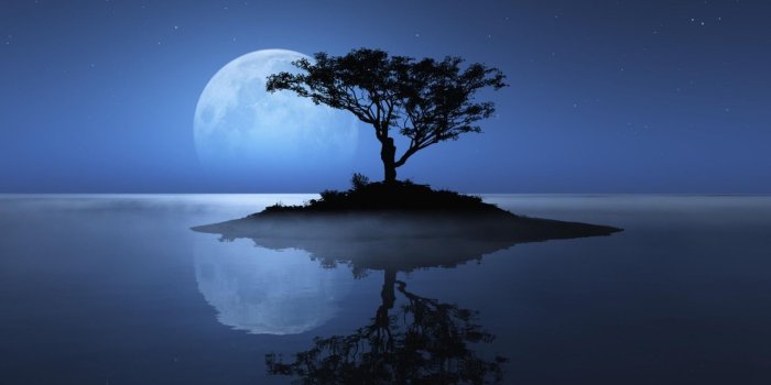 1920x1200 Small Island Sky Moon Wallpaper Hd - Tree And Moon Background