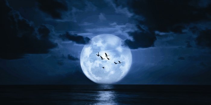 5184x3456 35+ Under the Midnight Moon Wallpapers - Download at WallpaperBro