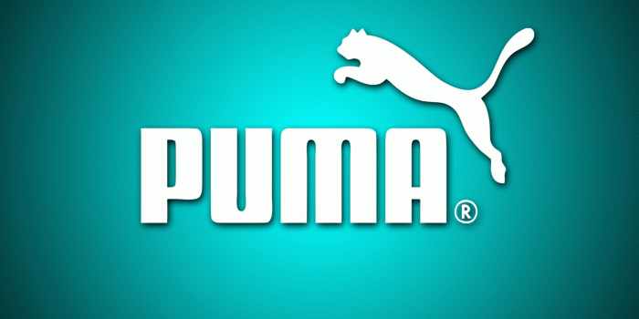 1920x1080 Tess Trombley on puma | Logos, Hd wallpaper, Wallpaper