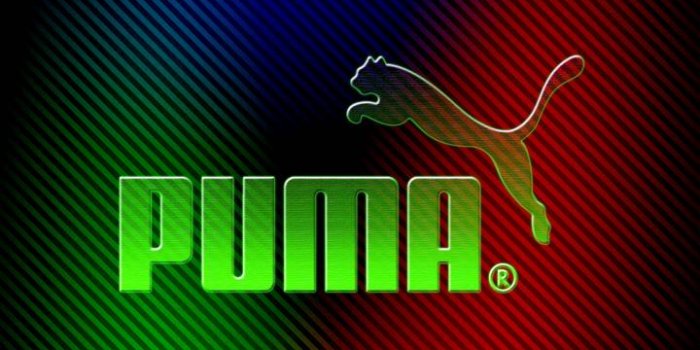 720x1280 Puma Wallpapers