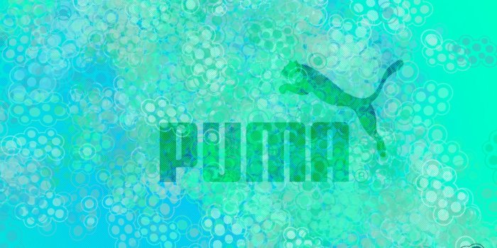 1920x1200 62+ Pumas Wallpapers on WallpaperPlay