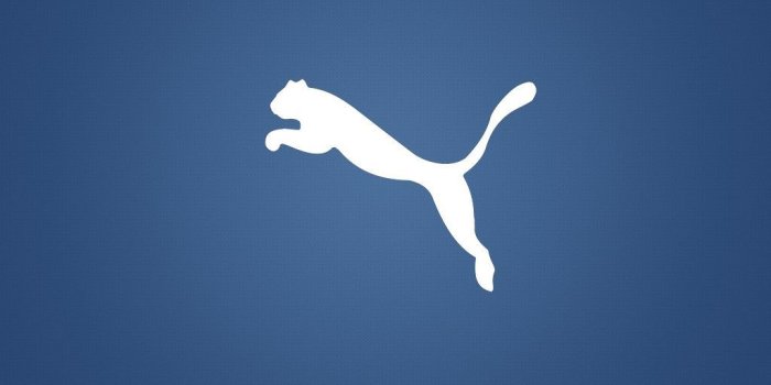 1024x1024 Puma Logo Wallpapers | Best Games Wallpapers | Ipad
