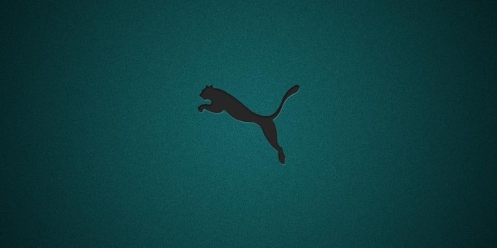 1024x768 Puma Wallpaper 3 - 1024 X 768