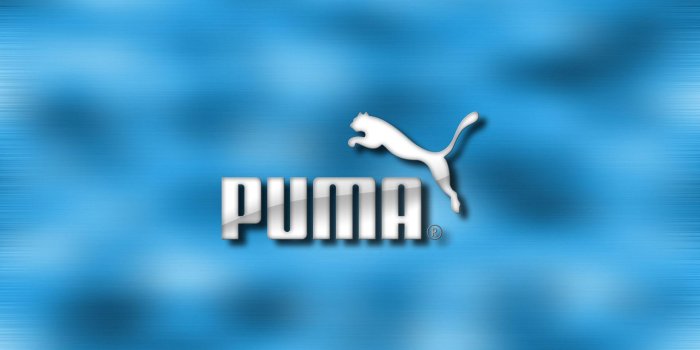 1920x1080 Puma Wallpapers