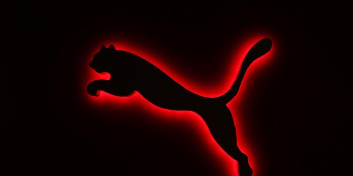 1920x1200 35+ Puma Symbol Wallpapers - Download at WallpaperBro