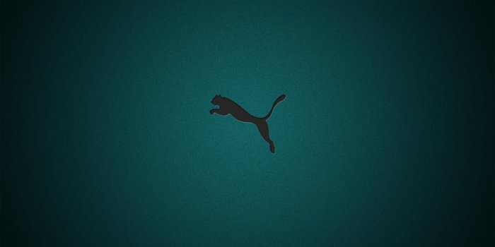 1920x1080 Puma wallpaper | 1920x1080 | #58925