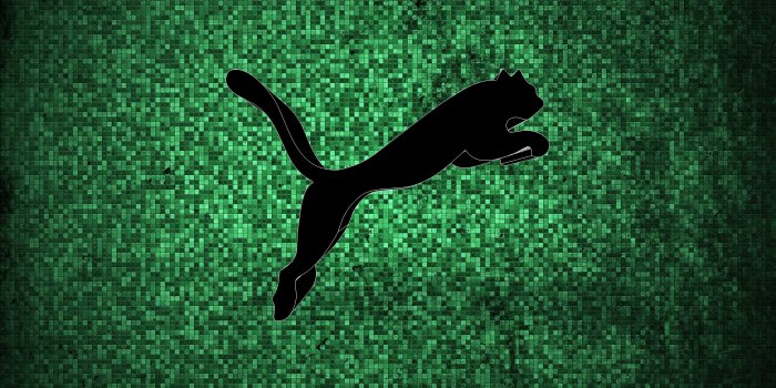 3840x2400 Puma Wallpapers (104+ images in Collection) Page 1