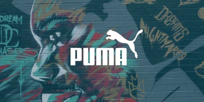 1280x800 Puma Wallpaper (29+ images) on Genchi.info