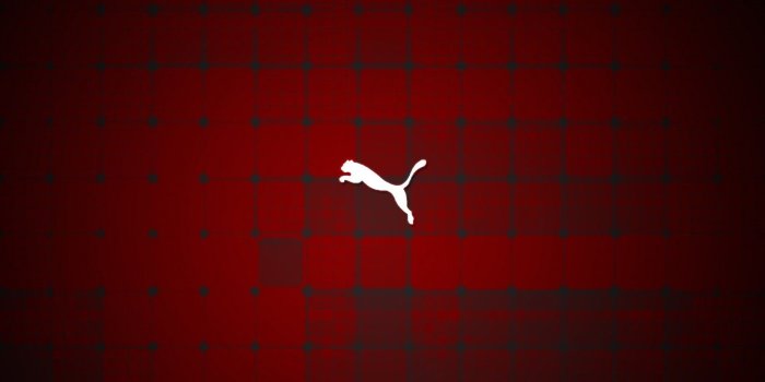 1680x1050 Puma backgrounds Gallery
