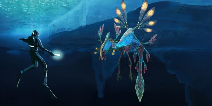 1920x1069 Subnautica Below Zero Wallpapers