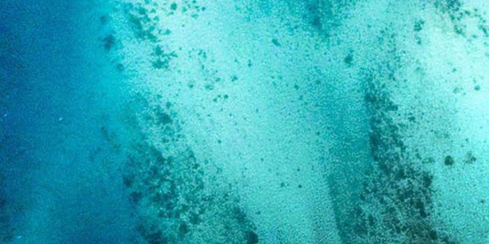 1242x2809 iOS 11, iPhone X, Aqua, blue, Water, wave, ocean, apple, wallpaper