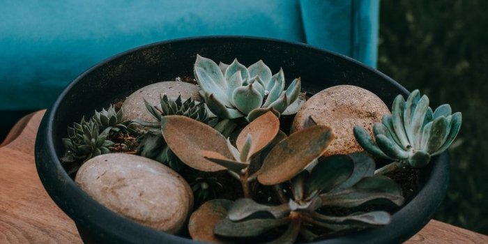 1000x1500 aesthetic | 43 best free aesthetic, light, green and wallpaper