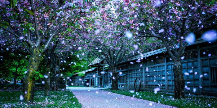 2880x1800 Canada Wallpapers, Pictures, Images