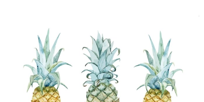 1600x900 Pineapple Desktop Wallpapers - Top Free Pineapple Desktop