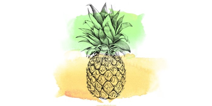 2560x1440 Free Download ~ Bonus #Pineapple Desktop Wallpaper | Organization in