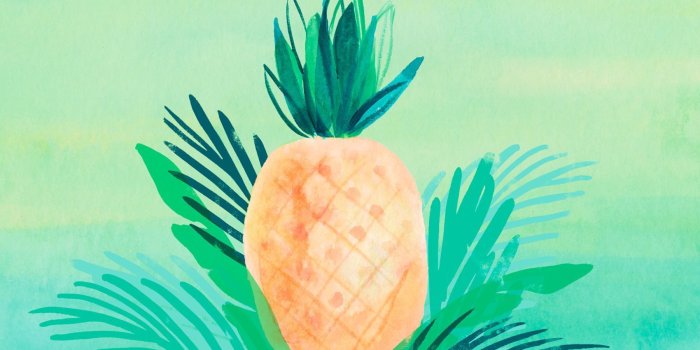 1800x1152 40+ Colorful Pineapple Computer Wallpapers - Download at WallpaperBro