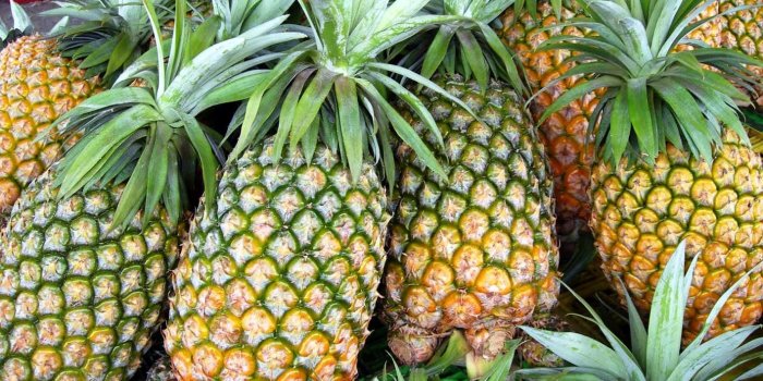 1417x1063 Pineapple HD Wallpapers | 7wallpapers.net