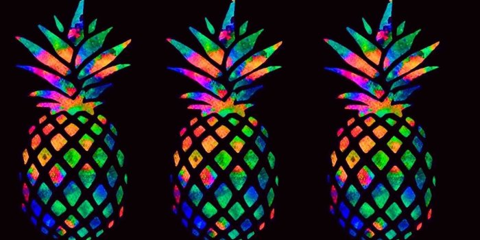 1920x1080 60+ Watercolor Pineapple Computer Wallpapers - Download at WallpaperBro