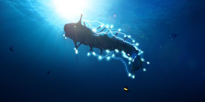 1920x1080 Showcase :: Subnautica