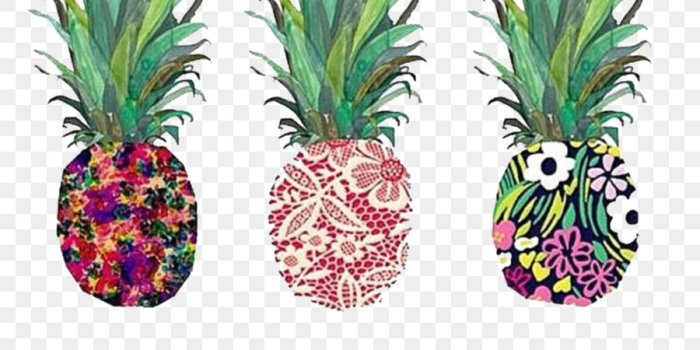 900x900 Pineapple Pineapple png download - 1080*1080 - Free Transparent