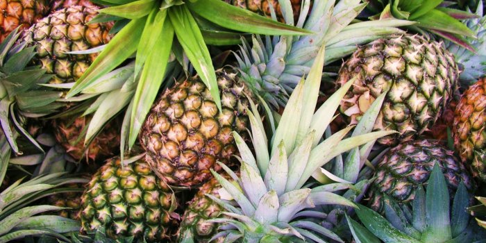 2048x1536 409367 2048x1536 pineapple wallpaper for desktop background | Other
