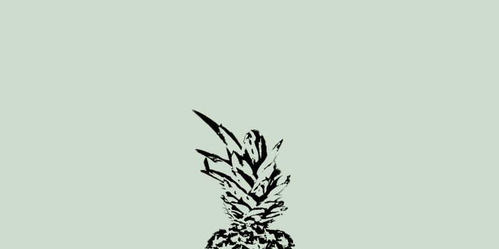 1856x1161 Minimal pastel sage green black pineapple desktop wallpaper