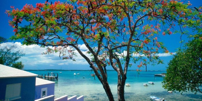 1920x1080 tropical, Escape, Bahamas Wallpapers HD / Desktop and Mobile Backgrounds
