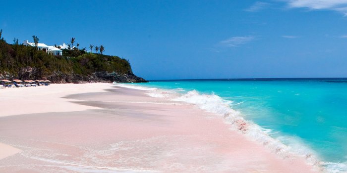 2560x1600 Pink Sands Beach Harbour Island Bahamas wallpapers