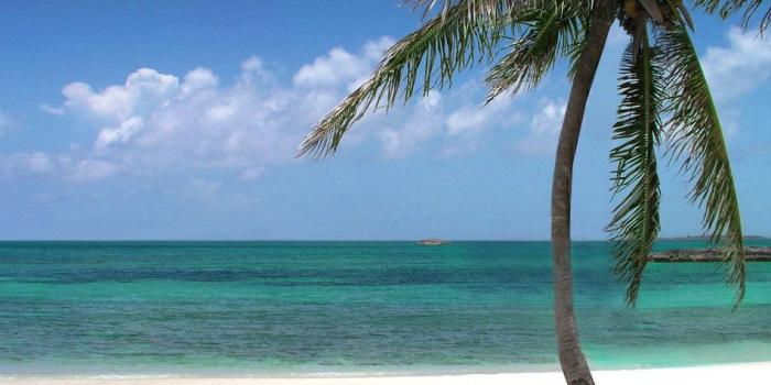 950x950 Download Bahamas Beaches at Atlantis Paradise Island